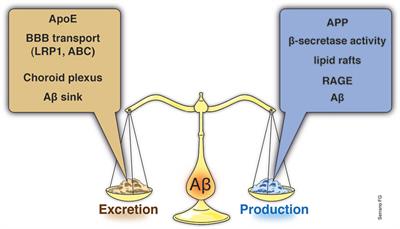 Alzheimer’s disease: relevant molecular and physiopathological events affecting amyloid-β brain balance and the putative role of PPARs